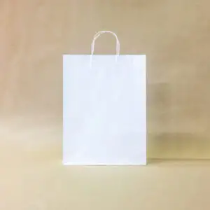 Купити білий крафт пакет з крученими ручками 250*320*110мм